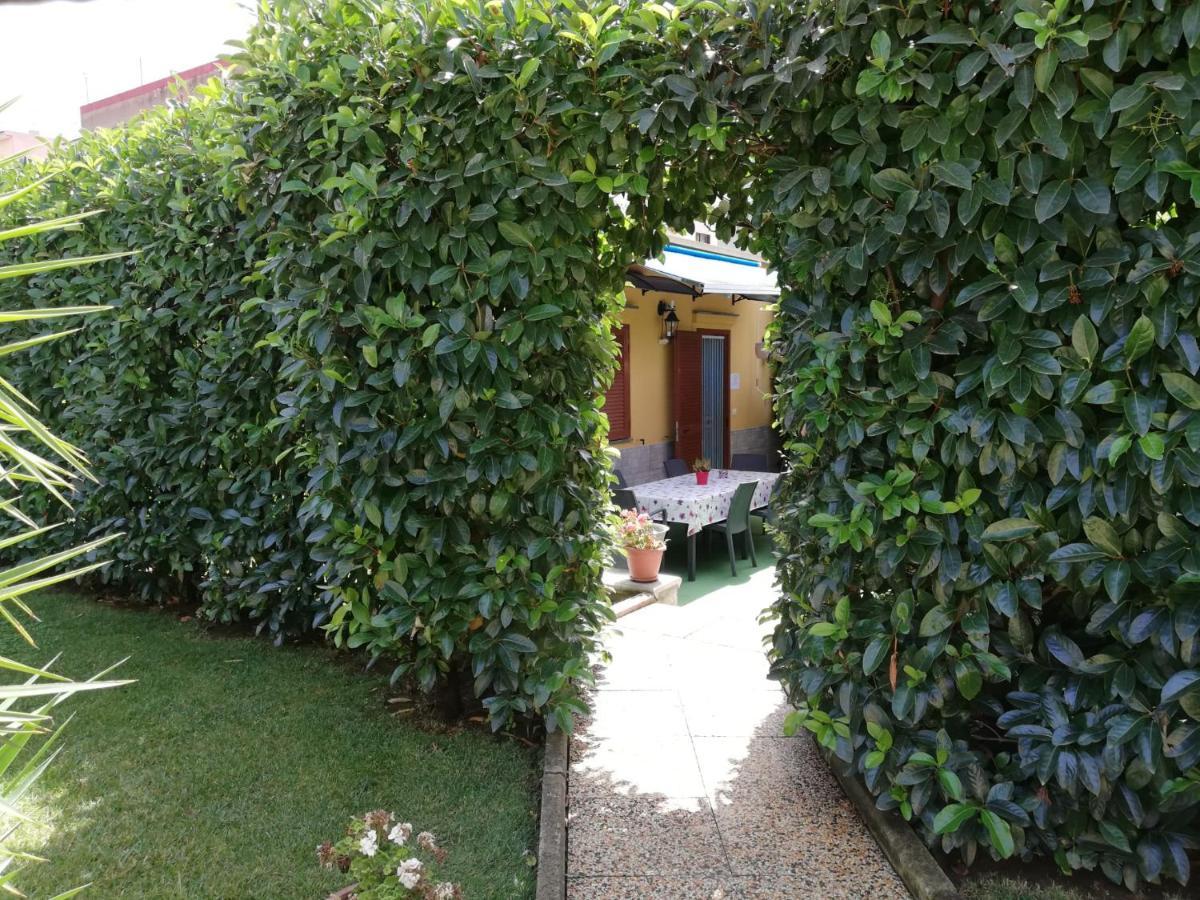 Depandance Con Piscina In Uso In Esclusivo In B&B SantʼAntonio Abate Exterior foto